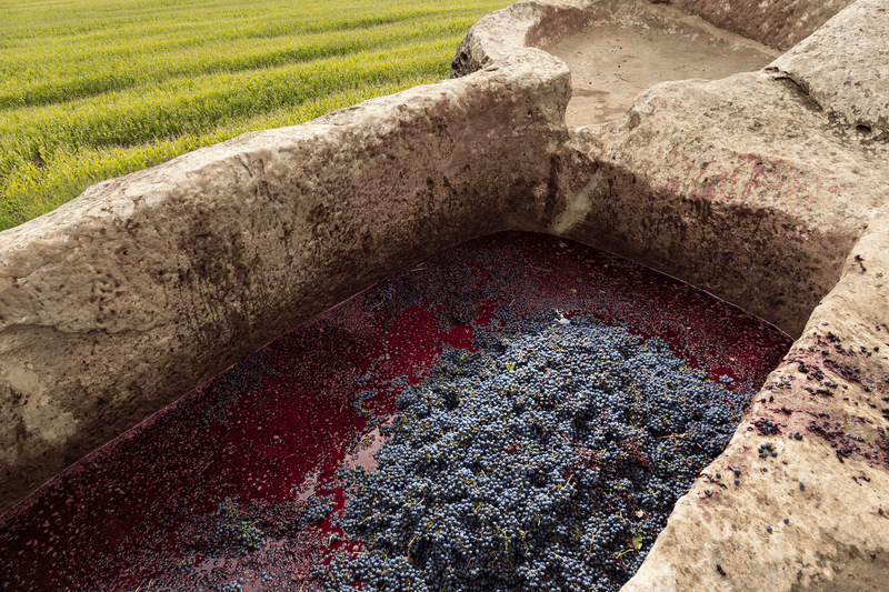 Costers Del Sió - Pago de Los Capellanes