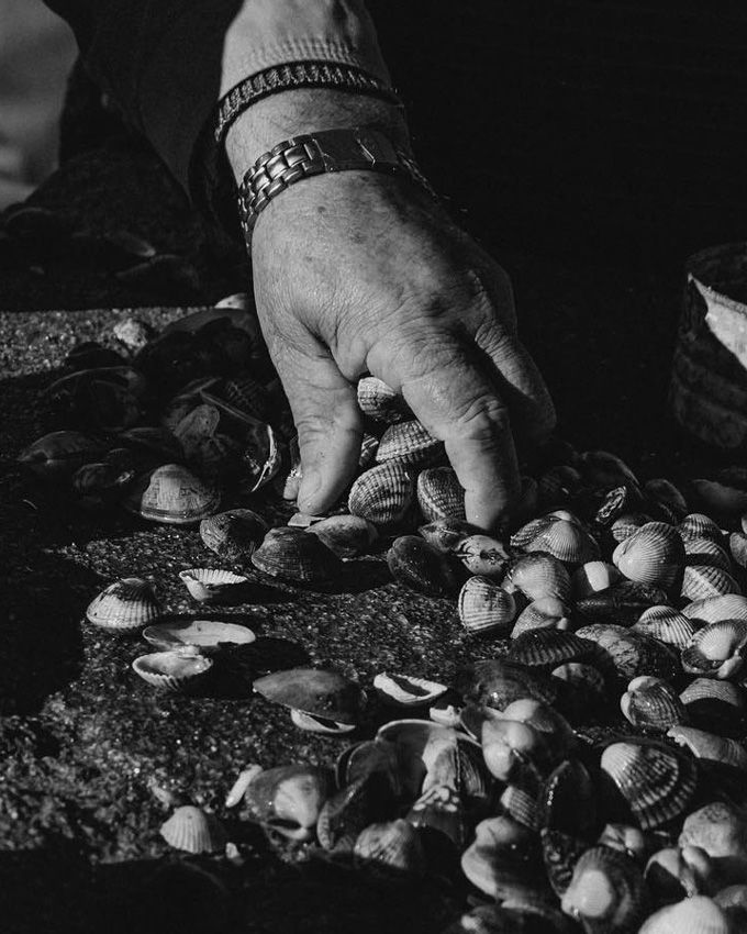 Real Conservera Española
                      loading=